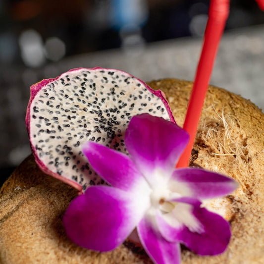 Dehydrated Dragonfruit Wheels