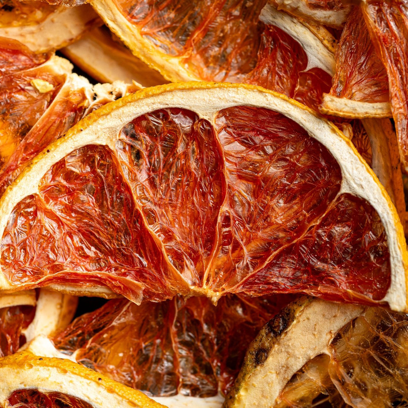 Dehydrated Grapefruit Half Wheels
