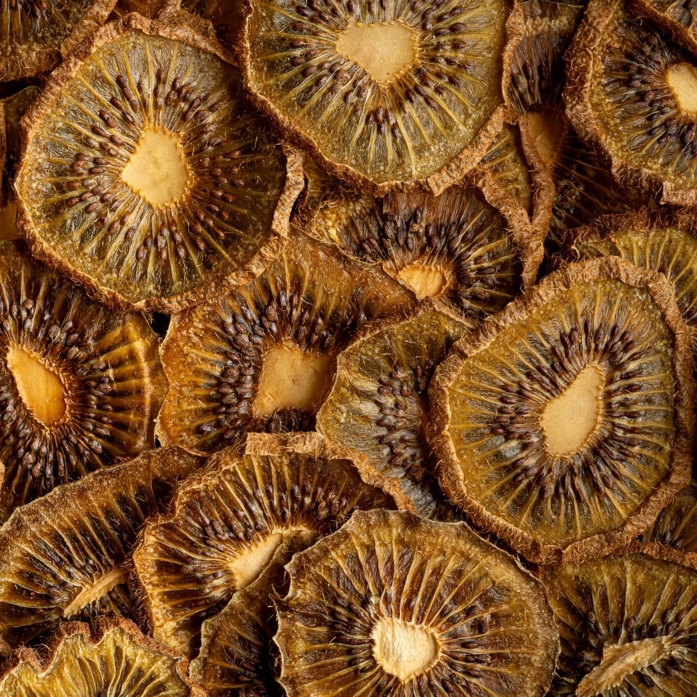 Dehydrated Kiwi Slices