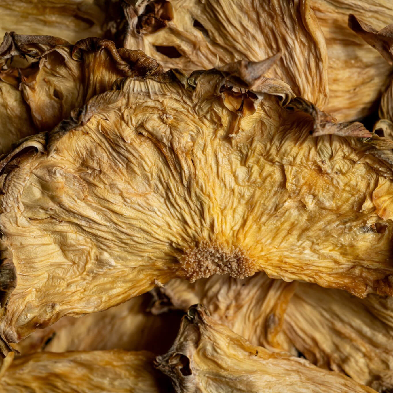 Dehydrated Pineapple Half Wheels